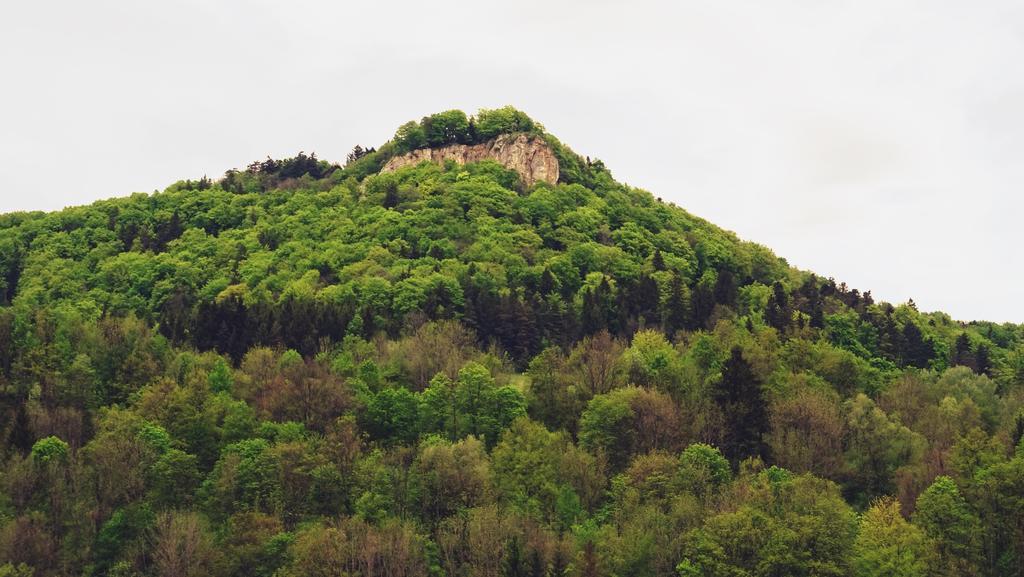 Alb Hotel Schalksburg Albstadt Dış mekan fotoğraf